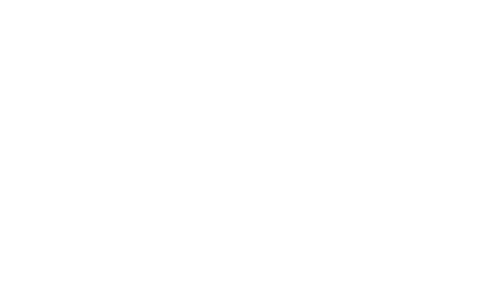 logo bitvavo king kong